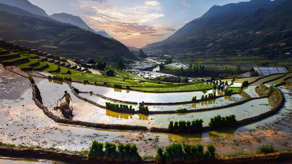 Rice terraces in Sapa Vietnam