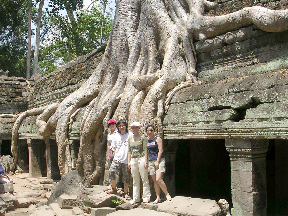 Giant fig tree entwined among ruins in Ta Prohm temple