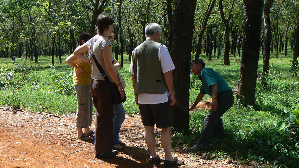 A visit to rubber plantation on the way to Cat Tien national park.