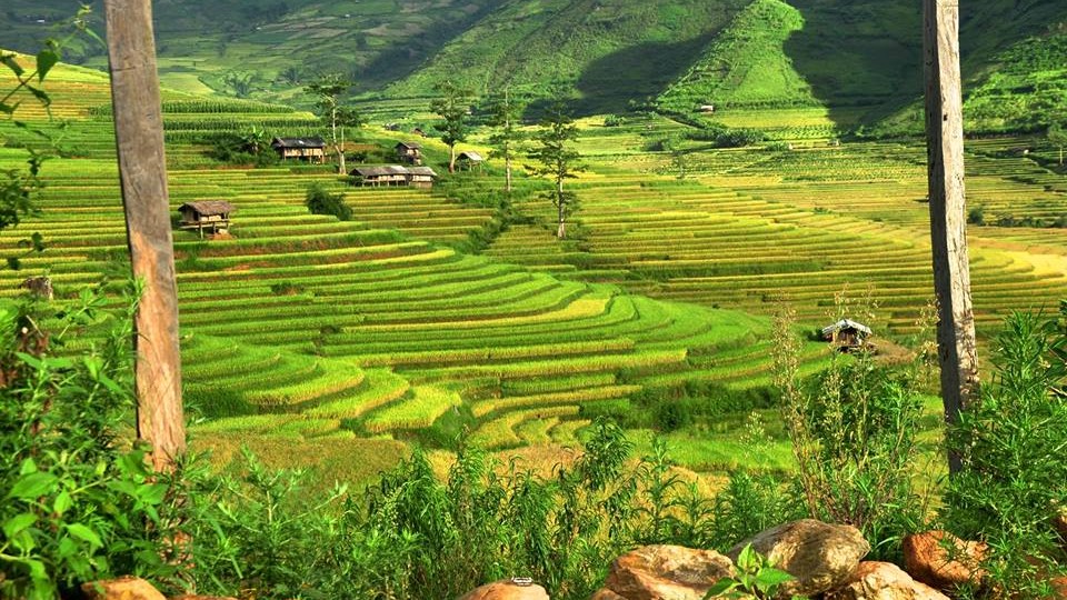 Pu Luong rice terraces view from local homestay - Mai Chau trek