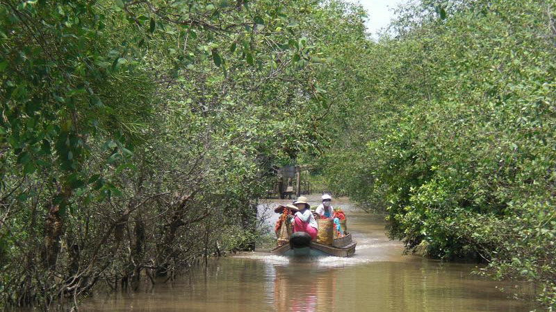 Mekong delta tours Cai Be