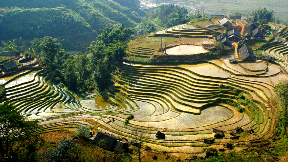 Rice terraces from Sapa trekking to Ban Ho