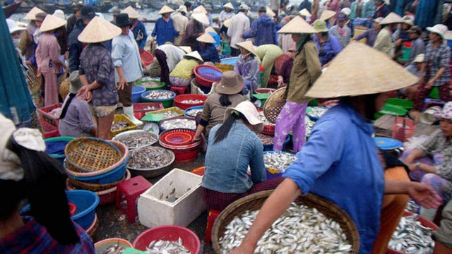 Fish market in Hoi an Vietnam