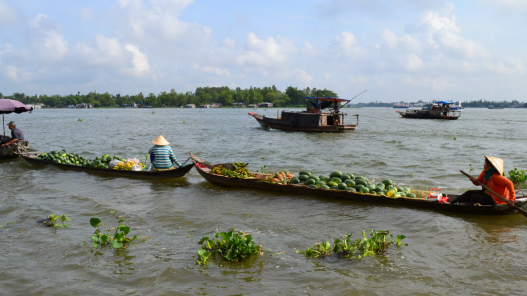 Mekong river cruise