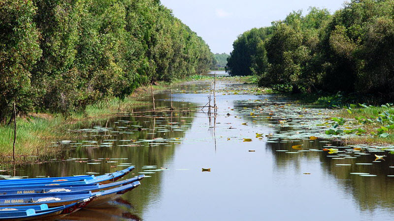Mekong delta tour 3 days - TraSu nature reserve