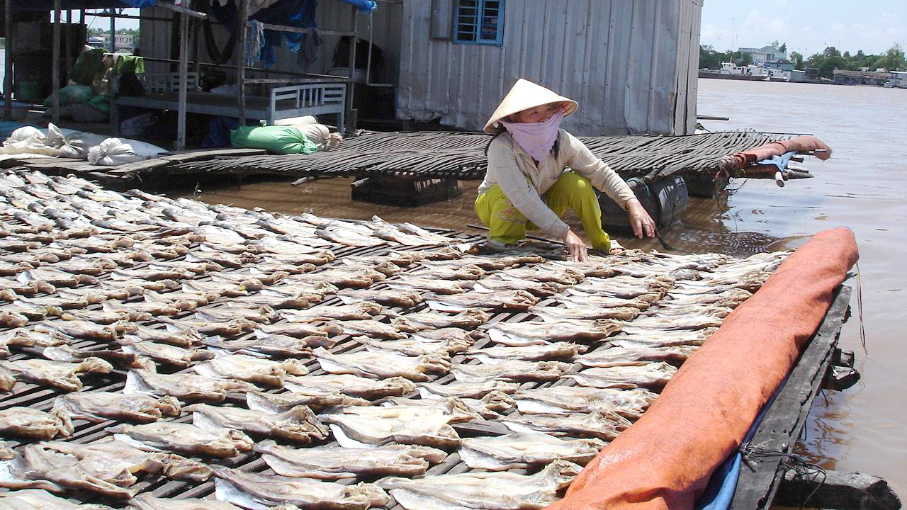 Mekong delta tours 3 days - Dry fish in ChauDoc floating village