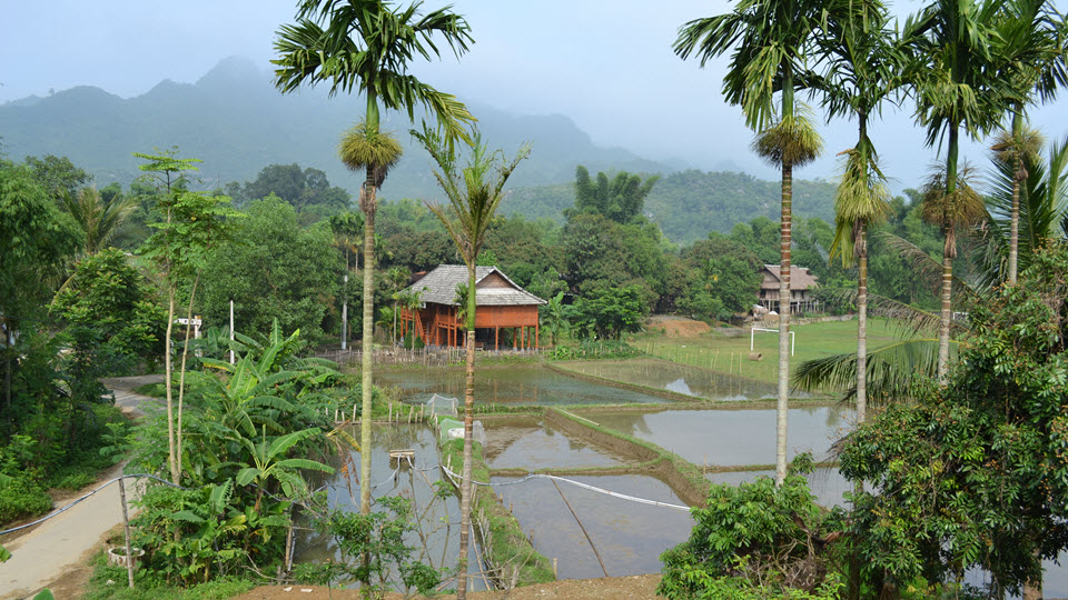 Scenery of Ban Lac Mai Chau homestay
