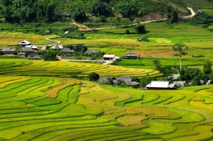 Rice terraces in Pu Luong - Mai Chau trek